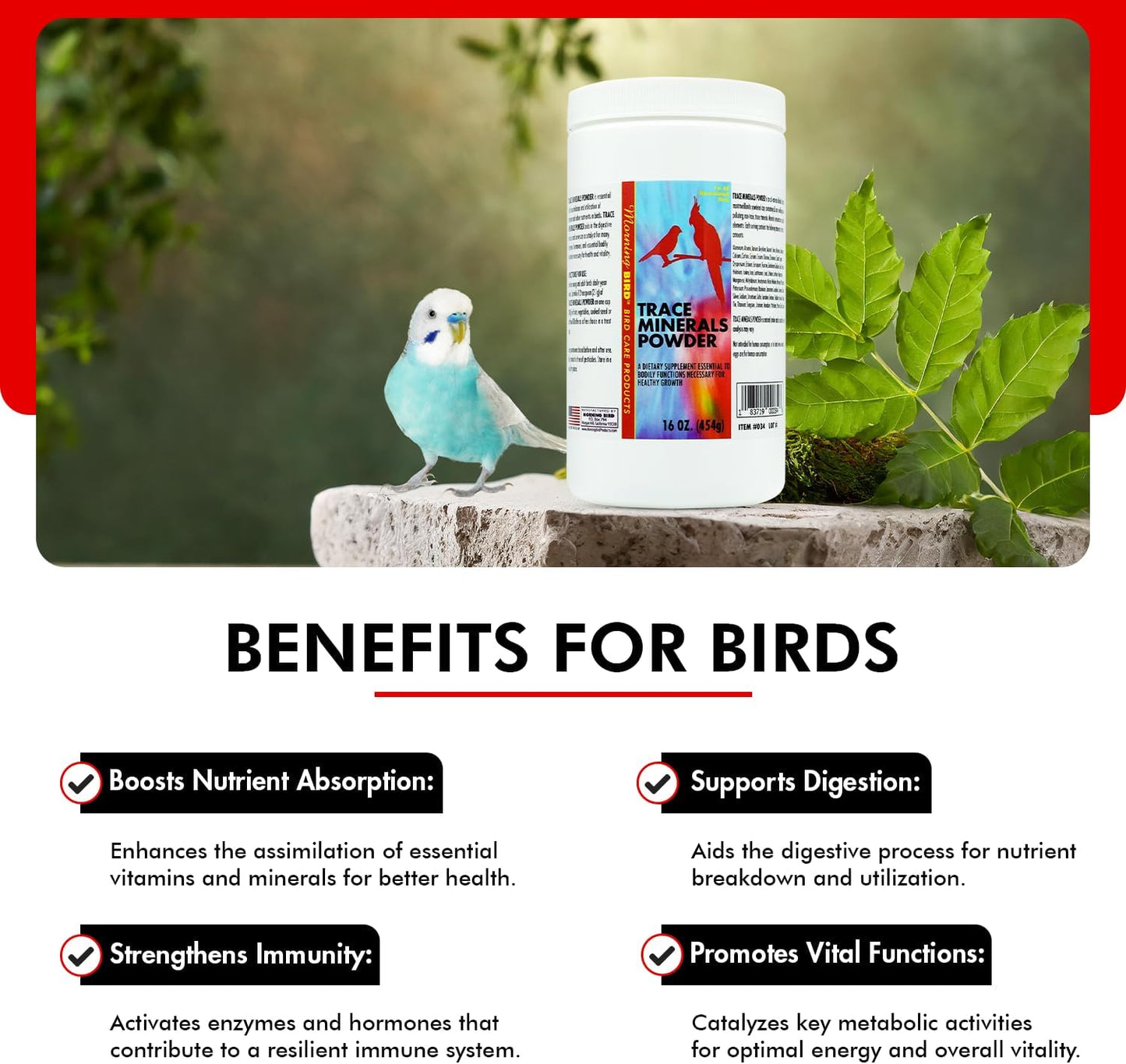Morning Bird Trace Minerals Powder 16 Oz – Complete Mineral Supplement for Birds – Promotes Energy, Metabolism & Enzyme Activity – Easy to Mix for Daily Vitamin Support.