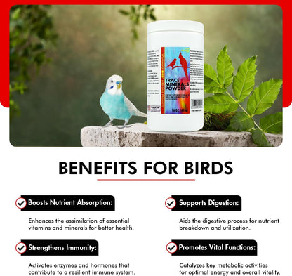 Morning Bird Trace Minerals Powder 16 Oz – Complete Mineral Supplement for Birds – Promotes Energy, Metabolism & Enzyme Activity – Easy to Mix for Daily Vitamin Support.