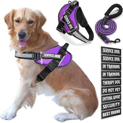 Service Dog Vest, 9 Dog Patches No Pull Dog Harness and Leash Set with Handle,Easy On and Off Pet Vest Harness with Night Safe Reflective Straps for Small Medium Large Breed Dogs