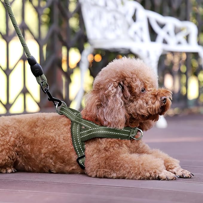 Plutus Pet No Pull Dog Harness with Breathable Mesh Padded, Adjustable Reflective Escape Proof Dog Harness, Quick Fit Dog Vest Harness for Small Medium Large Dogs(XS, Ranger Green)