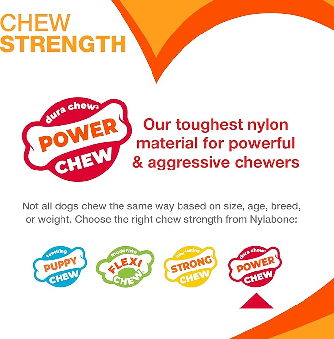 Nylabone Textured Ring Power Chew Toy for Small Dogs, Durable Dog Toys for Aggressive Chewers, Strong Dog Chew Bones To Keep Them Busy, Flavor Medley, Small - Up to 25 lbs, 1 Count