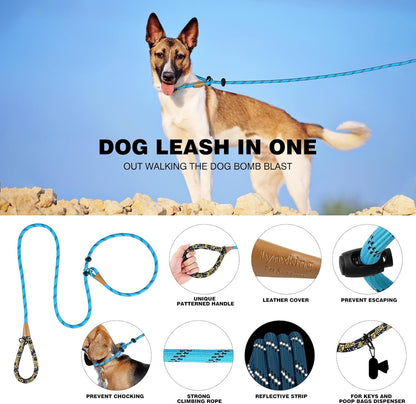 lynxking Slip Lead Dog Leash Reflective, Heavy Duty Comfortable Strong Rope for Large Medium Small Dogs No Pull Pet Training (Light Blue, 2PCS Large 1/2in x 6ft)