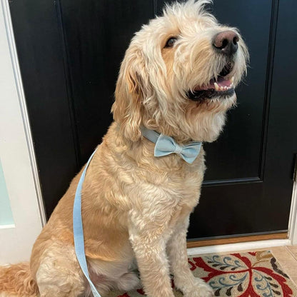 PETDURO Personalized Dog Collar Sky Blue Soft Velvet for Large Medium Small Boy Girl Dogs - Custom Collar with Name Phone Number Engraved on Gold Metal Buckle - Add Leash Bow Set via Customize Now