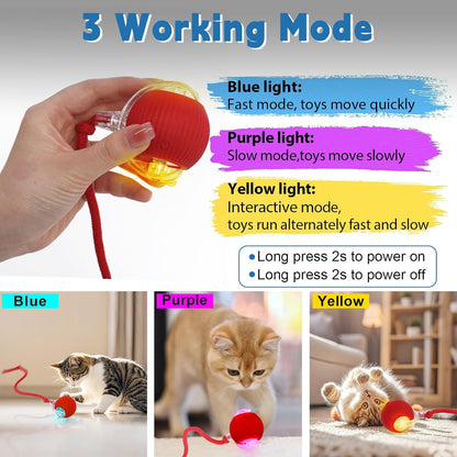 Interactive cat Toys for Indoor Cats, Speedy Tail 3.0 Cat Toy, Motion Activate cat Toy Ball，Automatic Toys for Bored Indoor Cats, Speedy Tail 2.0 Cat Toy, Rechargeabl(Red)