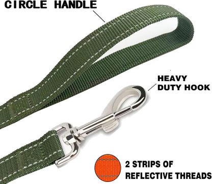 Reflective Dog Leash 4Ft /6 Feet Long, 3/4 Inch Wide, for Small and Medium Dogs