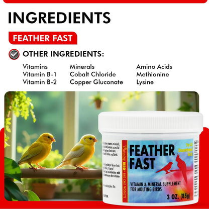 Morning Bird Feather Fast 3 Oz – Multi-Vitamin During Molt - Molting Support Supplement for Birds – Amino Acid & Vitamin Powder Formula– Promotes Feather Growth, and Full Plumage – for All Adult Birds