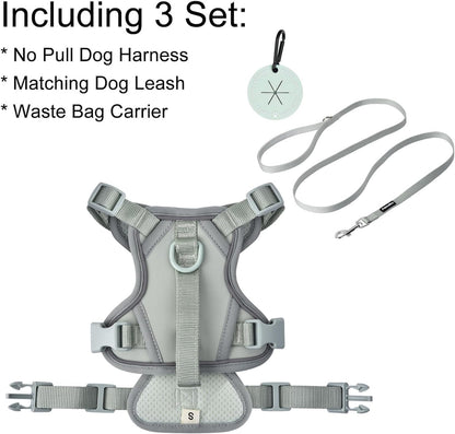 Petmolico No Pull Cute Dog Harness for Small Dogs, with Two Leash Clips and Soft Handle, Reflective Easy Walk Dog Harness- Light Green,Small