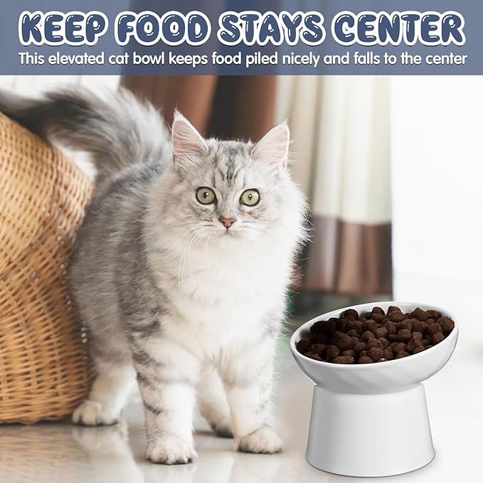 Tanlade 4 Pcs Ceramic Raised Cat Bowls, Elevated Tilted Cat Bowl, Stress Free, Backflow Prevention, Dishwasher and Microwave Safe for Indoor Kitten, Puppies(White and Grey)
