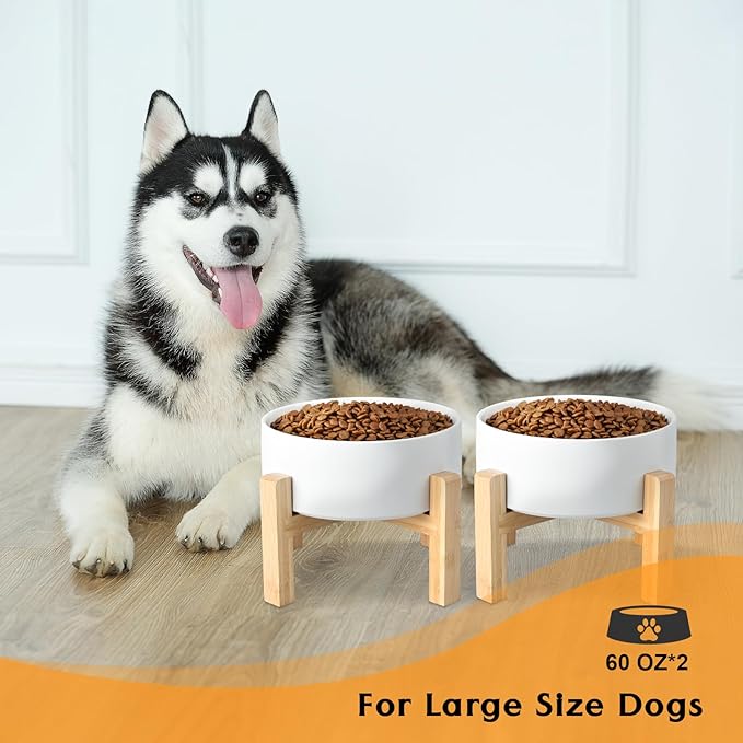 SPUNKYJUNKY Ceramic Elevated Dog Bowls 2 Pack - 8.3inch Raised Dog Bowls with Non-Slip Wooden Stand for Large Dogs Dishwasher Safe(White,60OZ*2)