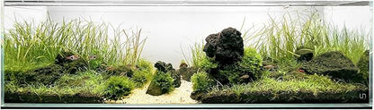 UNS Ultra Clear Rimless Tank - 11.8GAL | 45L - 35.43x7.87x9.84 | 90x20x25 CM, 6mm Glass Thickness, Leveling Mat Included - Low Iron, High Clarity Fish Tank w/ 45° Mitered Edge - [90B]