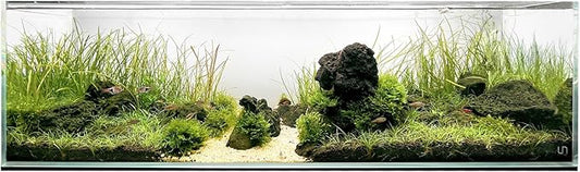 UNS Ultra Clear Rimless Tank - 11.8GAL | 45L - 35.43x7.87x9.84 | 90x20x25 CM, 6mm Glass Thickness, Leveling Mat Included - Low Iron, High Clarity Fish Tank w/ 45° Mitered Edge - [90B]
