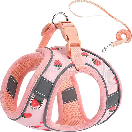 Step in Dog Harness and Leash Set, Flower Adjustable Easy Walk Puppy Harnesses, Soft Mesh No Pull Pet Vest Harness for Small Dogs and Cats(Strawberry, XS)