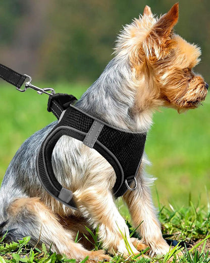 Joytale Small Dog Harness, Breathable Mesh Step-in Vest, Reflective Soft Padded Harnesses Small Sized Dog for Walking, Black, S