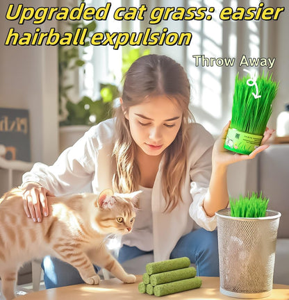 6Pack Cat Toys Cats Grass Treat Catnip Toy with Silvervine for Indoor Kitten Toys Wood Kitty Chew Rope Grass Sticks for Teeth Cleaning Kitten Snack for Catnip Dental Care Self Play