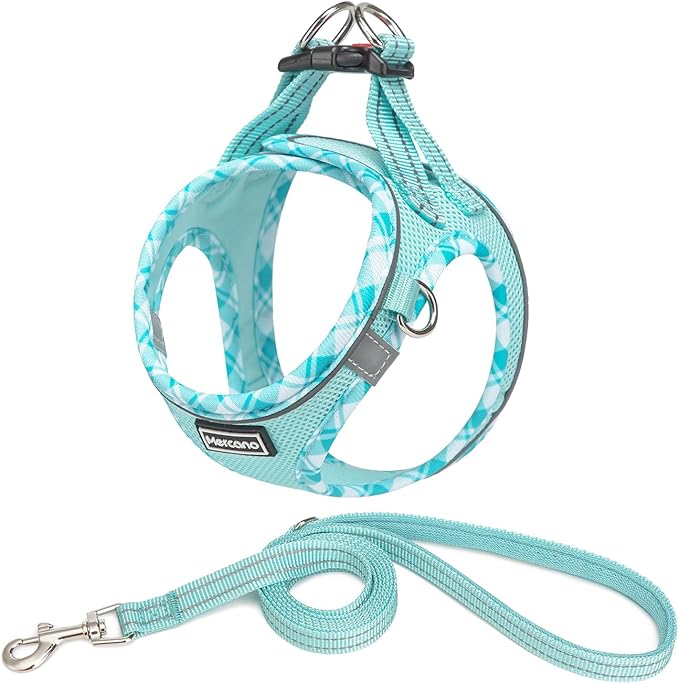Mercano Soft Mesh Dog Harness and Leash Set, No-Chock Step-in Reflective Breathable Lightweight Easy Walk Vest Harnesses with Safety Buckle for Small Dogs, Cats (Light Blue, XXS)