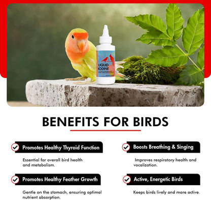 Morning Bird Liquid Iodine for Birds 4 fl. oz – Iodine Drops for Feather Growth, Support Molting, Energy & Thyroid – Easy-to-Use Mineral Supplement Formula for All Bird Types