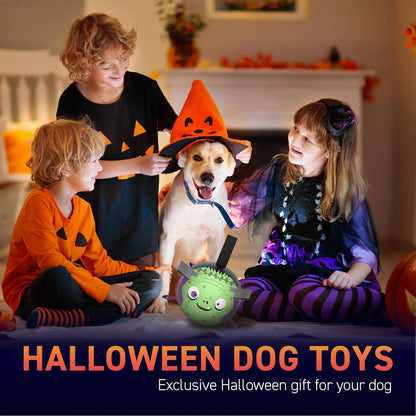 QDAN Dog Toys Ball: Dog Soccer Balls with Straps- Outdoor Herding Balls Toys for Small Medium Dogs- Halloween Puppy Pet Birthday Gifts- 6 Inch Purple Green