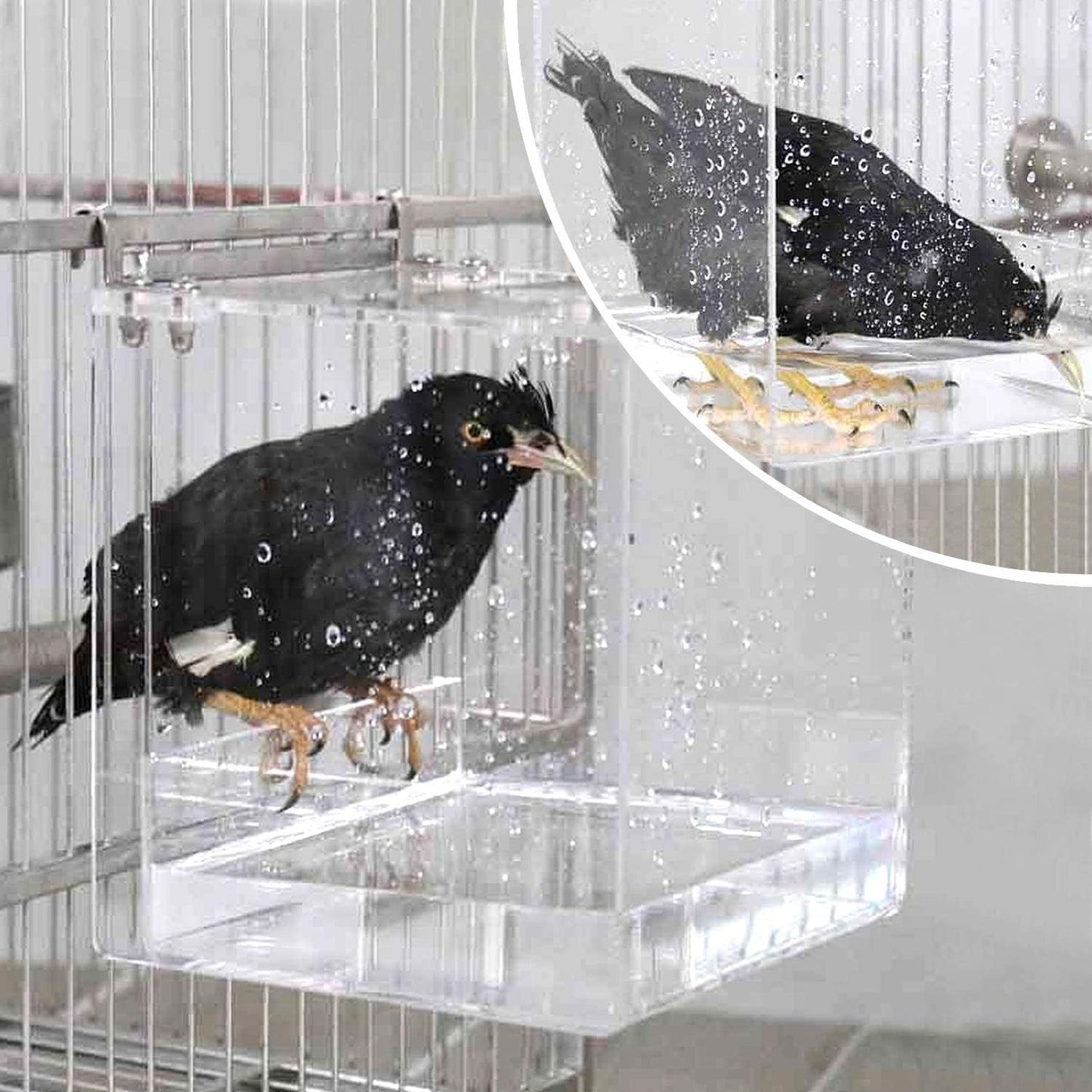 Hanging Bird Bath Cube Bird Bathtub Bath Shower Box Bowl Cage Accessory for Little Bird Canary Budgerigar Parrots Crested Myna Cockatiel Lovebird Parakeet Bath (Large)