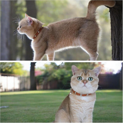 Spiked Cat Collar with Bells, Breakaway Genuine Leather Protective Collar for Kitty, Studs Spikes Punk Style, Heart Pattern, Adjustable for Girl Boy Kittens Small Bunny Rabbit, 10"-12" Brown