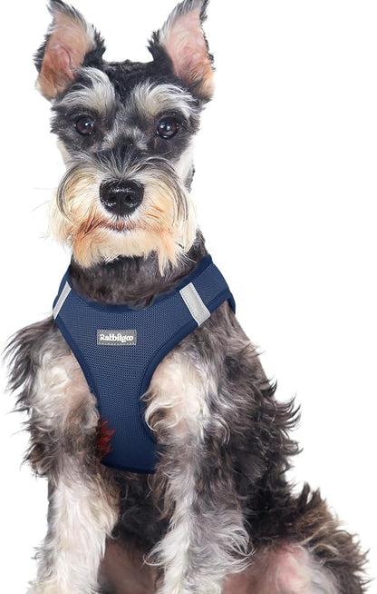 rabbitgoo Small Dog Harness, Step-in Soft Mesh Puppy Vest with Safety Buckle, Breathable Reflective Pet Harness for Large Dogs, Navy Blue XXL