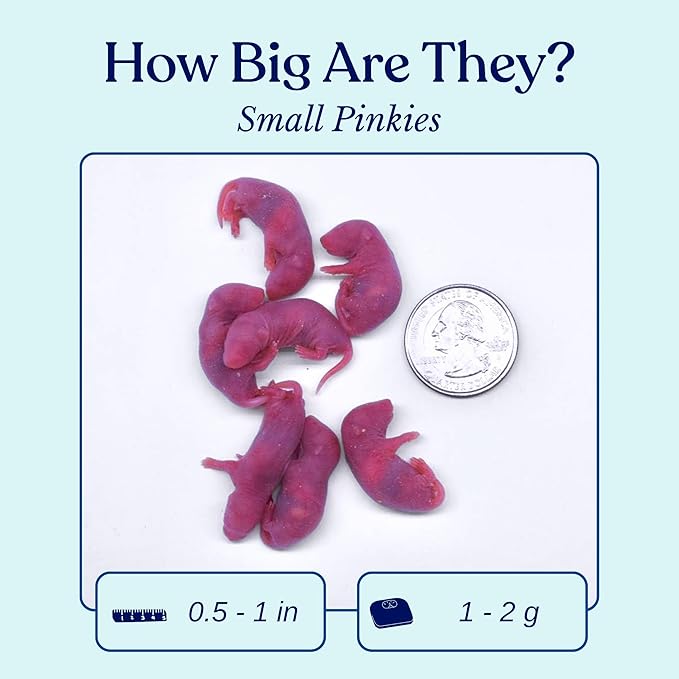 MiceDirect Frozen Mice Small Pinkie Feeders Snake Food for Corn Snakes Ball Pythons Lizards (.5-1 inch)(75 Count)