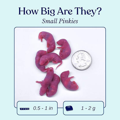 MiceDirect EST. 2003 150 Frozen Mice Pinkie Feeders Snake Food for Corn Ball Pythons Lizards (.5-1 in) (300 Grams Min)