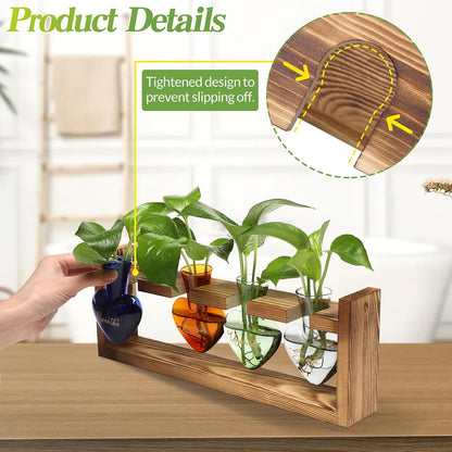 Plants Propagation Stations Plant Terrarium Kit for Bathroom Glass Planters for Indoor Plants Bathroom Decor Accessories - Relax Soak Unwind Breathe