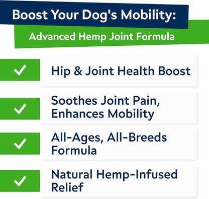 Advanced (Hemp+Glucosamine) Joint Treats for Dogs - Hip & Joint Supplement w/Chondroitin, Omega-3, MSM - Hemp Chews for Dogs Hip & Joint Pain Relief - Hip & Joint Care - Lamb Flavor - 120Ct