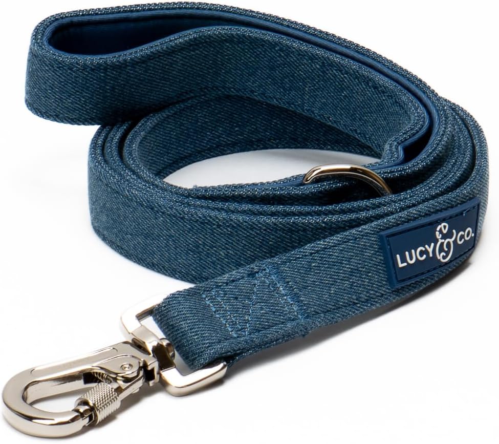 Lucy & Co. 5 Foot Designer Dog Leash for Small, Medium or Big Dogs or Puppies Puppy – Pet Accessories & Supplies- Large-Blue Denim