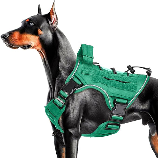 Heavy-Duty Tactical Dog Harness for Large Dogs, No Pull Adjustable Reflective Pet Vest with Molle System, K9 Military-Grade Control for Service Training, Outdoor & 10+ Breeds, Turquoise, Medium