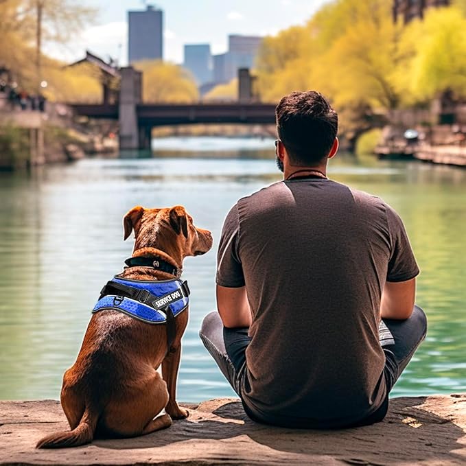 Service Dog Vest, 9 Dog Patches No Pull Dog Harness and Leash Set with Handle,Easy On and Off Pet Vest Harness with Night Safe Reflective Straps for Small Medium Large Breed Dogs