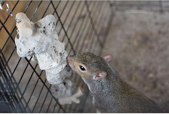 Exotic Nutrition Pumice Chew Dangle - Natural Healthy Hanging Cage Accessory Toy - for Squirrels, Degus, Chinchillas, Prairie Dogs, Birds, Rats, Hamsters, Guinea Pigs & Other Small Pets