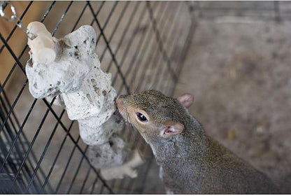 Exotic Nutrition Pumice Chew Dangle - Natural Healthy Hanging Cage Accessory Toy - for Squirrels, Degus, Chinchillas, Prairie Dogs, Birds, Rats, Hamsters, Guinea Pigs & Other Small Pets