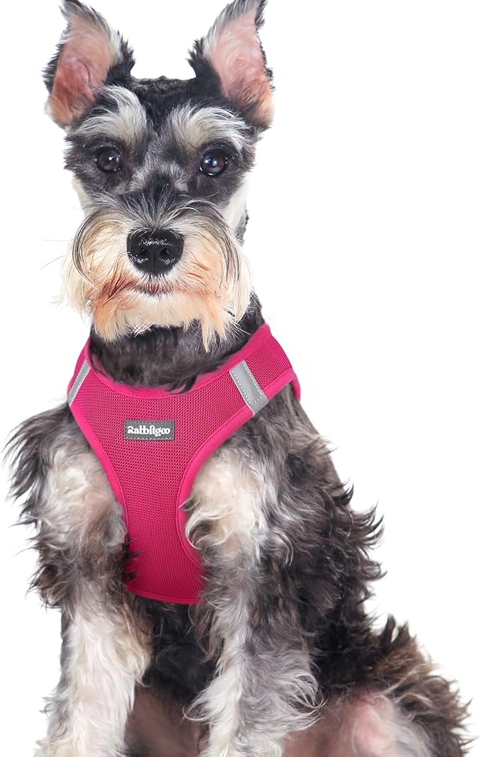 rabbitgoo Small Dog Harness, Step-in Soft Mesh Puppy Vest with Safety Buckle, Breathable Reflective Pet Harness for Large Dogs, Rose Red XXL