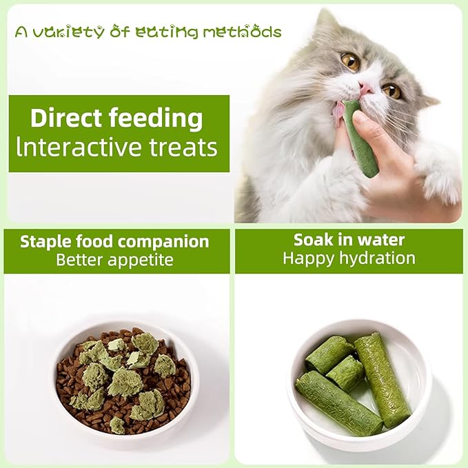 Cat Natural Grass Teething Sticks 100g, Kitten Chew Stick for Hairball Removal, Dental Care, Increase Appetite, Catnip Toys Cat Nip Treat Toys Edible Kitty Toys for Indoor Kittens (Medium, Catnip)