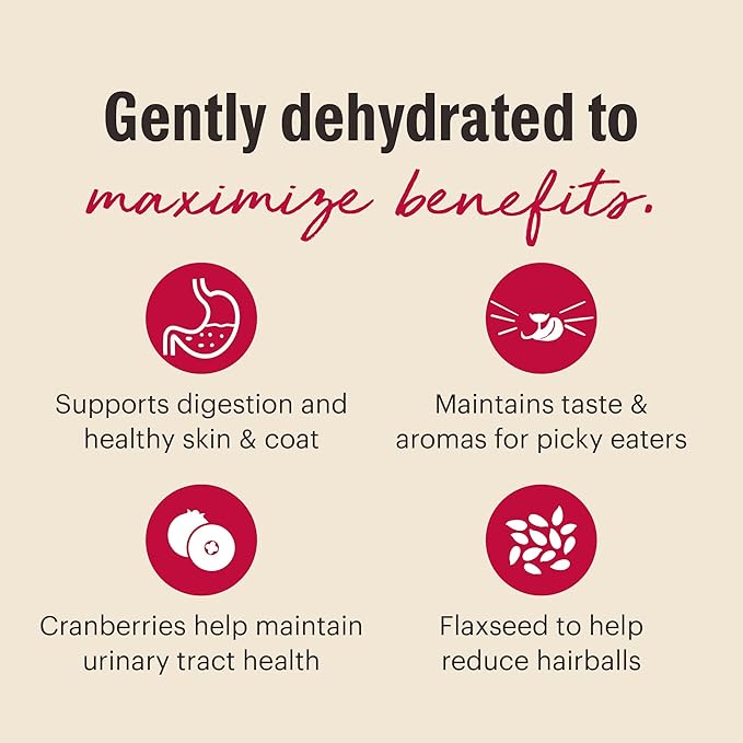 The Honest Kitchen Dehydrated Grain Free Chicken Cat Food 4 Pound (Pack of 1)