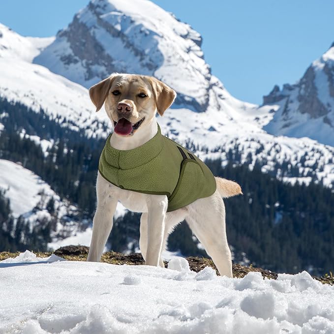 Queenmore XXS Dog Sweaters, Soft Fleece Vest Pullover Dog Jacket with Leash Hole, Warm Winter Dogs Clothes Cold Weather Doggy Dachshund Sweater for Small Dogs Cats Boy or Girl (Army Green, XXS)