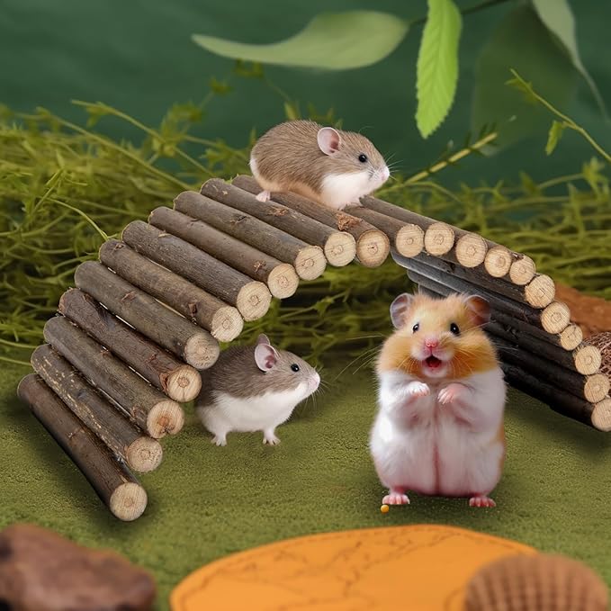 Sofier Hamster Toys 2 Pack Hamster Bridges Natural Wooden Hideout Tunnel Ladder Hamster Cage Accessories Chew Toys for Guinea Pig Rat Chinchilla¡­