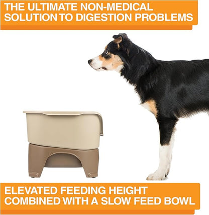 Neater Feeder - Express Model w/Slow Feed Bowl - Mess-Proof Dog Bowls (M/L, Cappuccino) Made in USA –Elevated, No Spill, Non-Tip, Non-Slip, Raised Stainless Steel Food/Water Pet Bowls Aid Digestion
