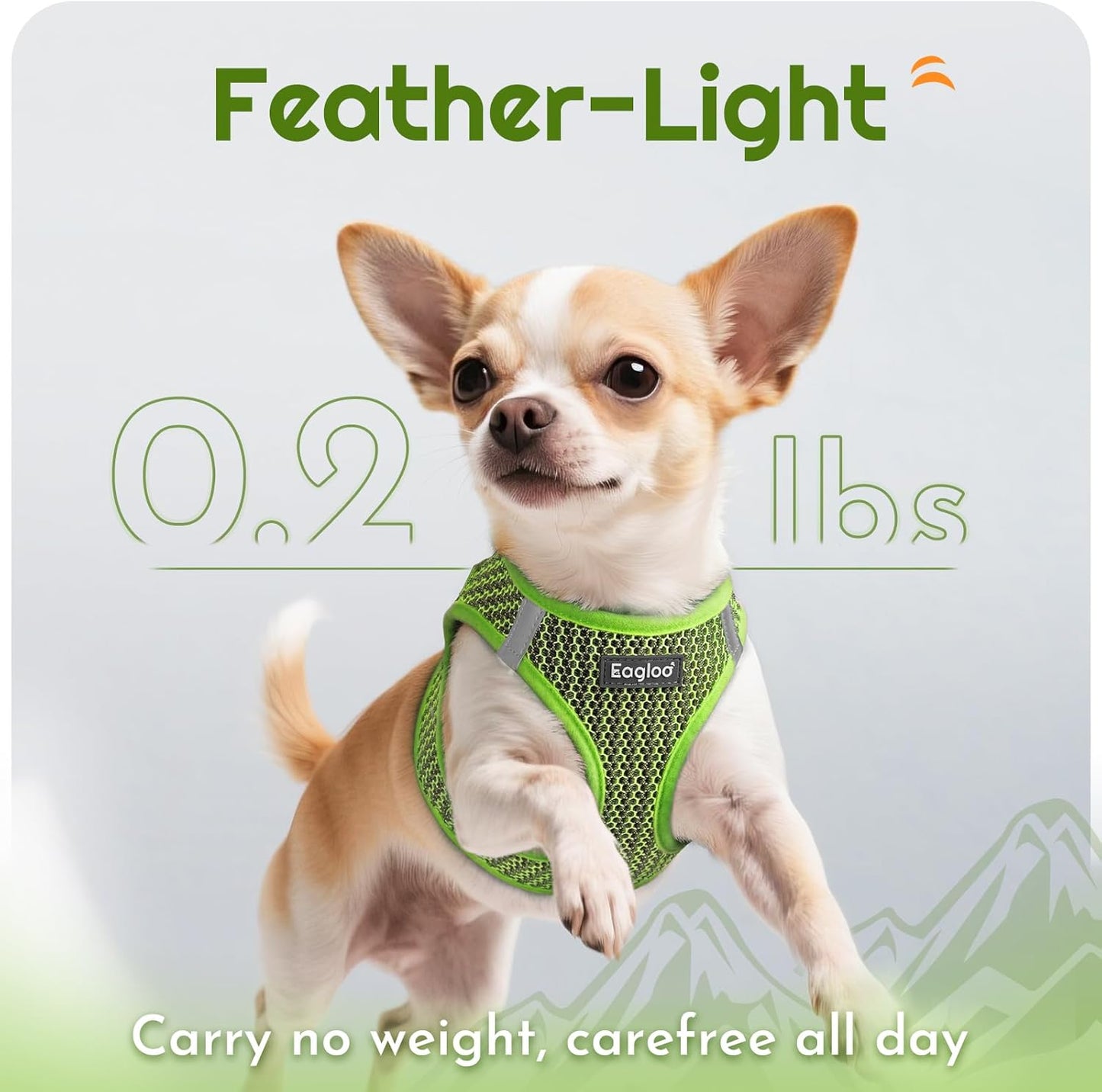 Eagloo Small Dog Harness and Leash Set, Step in Puppy Vest with Breathable Soft Mesh, Walking Reflective Pet Harness for Small Dogs, Green, XS