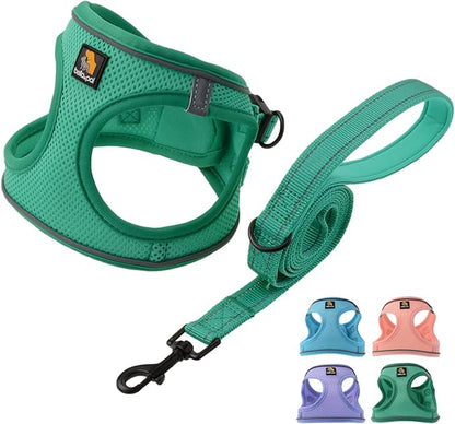 BELLA & PAL Step in Vest Harness for Small and Medium Dogs, No Pull Small Dog Harness with Leash Set, Comfortable Air Mesh Dog Vest Harness with Reflective Strip (Emerald, M)
