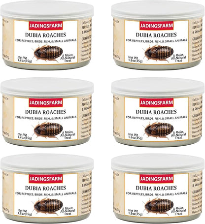 6 Pack Canned Dubia Roaches for Reptiles, Birds and Small Animals, Dubia Roaches, Healthy High Protein Treat, Reptile Food 7.2 Ounces Total