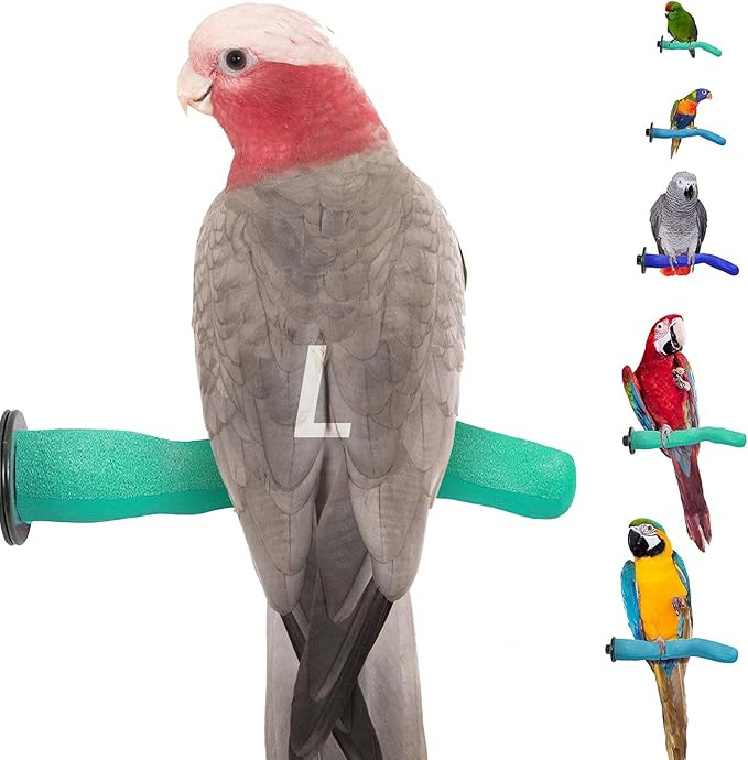 Sweet Feet and Beak Brid Cage Safety Pumice Perch - Trims Nails and Beak - Promotes Healthy Nails and Beaks - Safe Non-Toxic Bird Supplies for Bird Cages - Large 12"