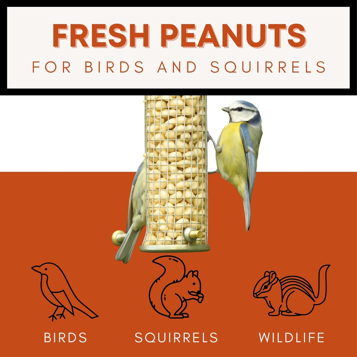 Fresh Shelled Peanuts for Birds & Squirrels - Raw Wildlife Peanuts, No Mess Bird Seed, No Waste Bird Seed for Wild Birds & Backyard Squirrels (40lbs)