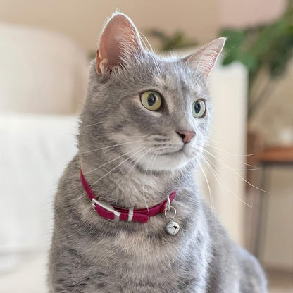 CollarDirect Leather Cat Collar with Bell - Kitten Collar, Small and Big Cat Strap for Boy Cats, Girl Cats with Safety Elastic Strap (Neck Fit 8"-11", Pink)
