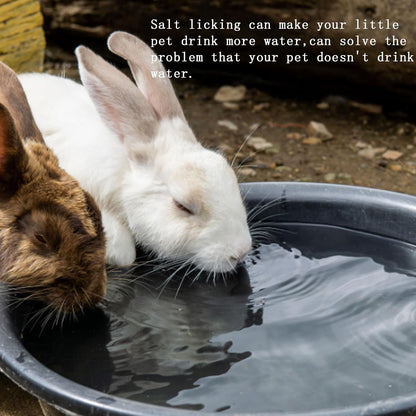 PINVNBY 12 Pieces Rabbit Himalayan Salt Lick Block,Pink Small Pets Natural Mineral Salts Blocks with Hook Hanging Small Animals Treat Chew Toys for Rabbits Horses Bunny