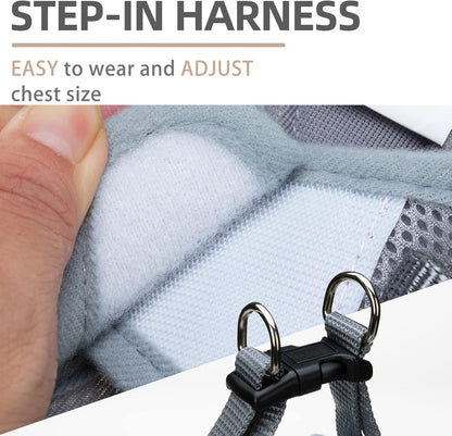 PUPTECK Adjustable Dog Harness Collar and Leash Set Step in No Pull Pet Harness for Small Medium Dogs Puppy and Cats Outdoor Walking Running, Soft Mesh Padded Reflective Vest Harnesses, Solid Grey S