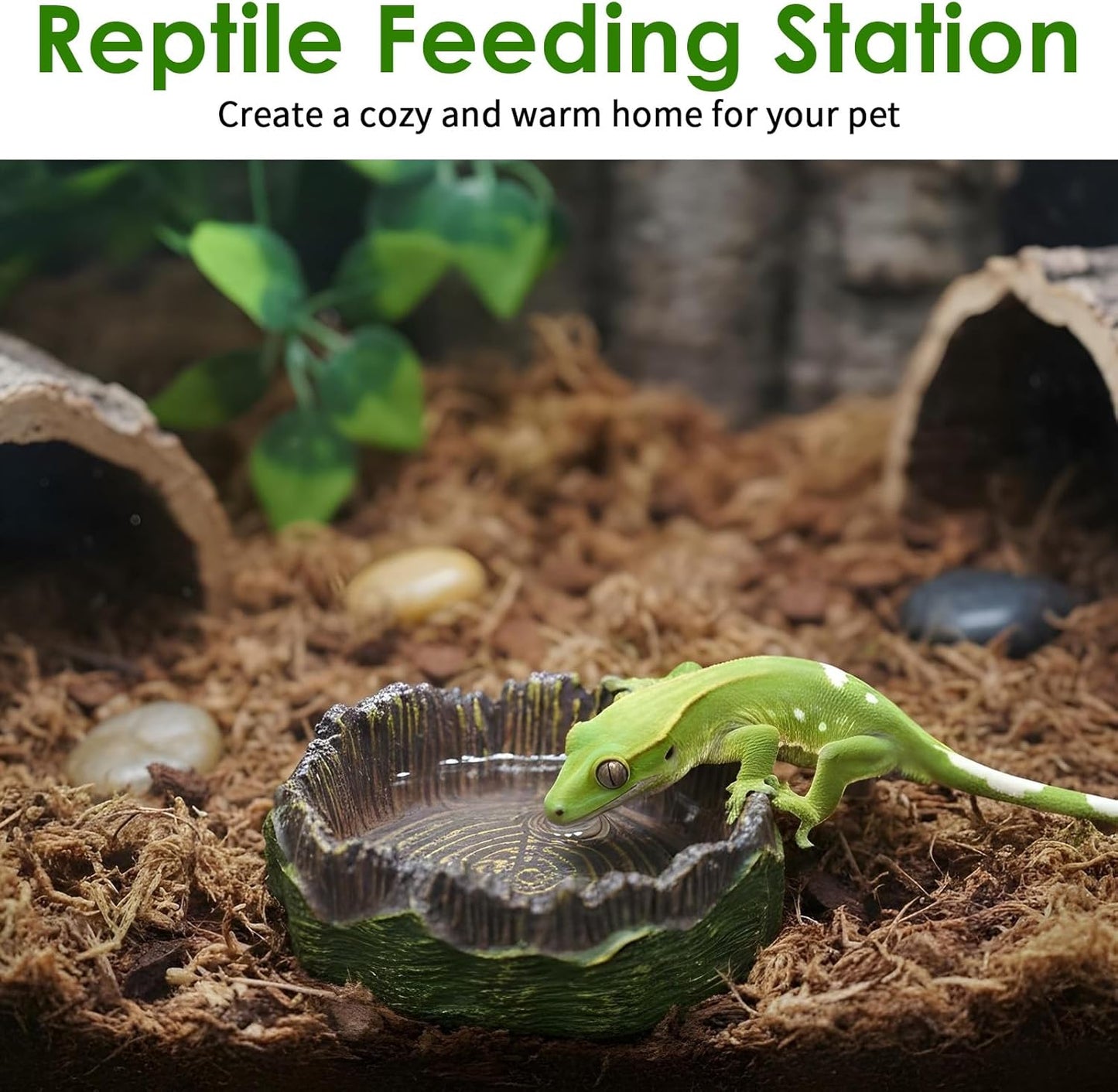 3Pcs Reptile Water Dish Hermit Crab Water Bowl Small Reptile Feeding Dish for Bearded Dragon Lizard Leopard Gecko