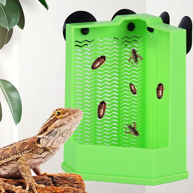 Bearded Dragon Feeder, Chameleon Feeder, Reptile Feeding Dish, Glass Mount Insect Feeding Box for Reptile, Bearded Dragon Food Bowl can Feeds Bearded Dragons and Comes with 4 Fixed Suction Cups