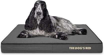 The Dog’s Bed Orthopedic Memory Foam Dog Bed, Medium Grey & Black, Waterproof, Supportive Dog Bed with Replaceable Covers